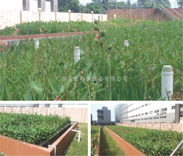 農(nóng)村污水來源及特點，農(nóng)村污水處理方法分享